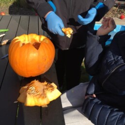 Græskarskæring med døvblind borger på kloden